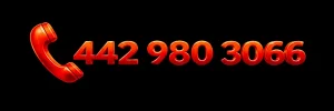 phone number